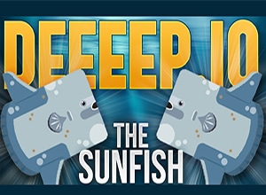 Knowing More About Deeeep.io Sunfish